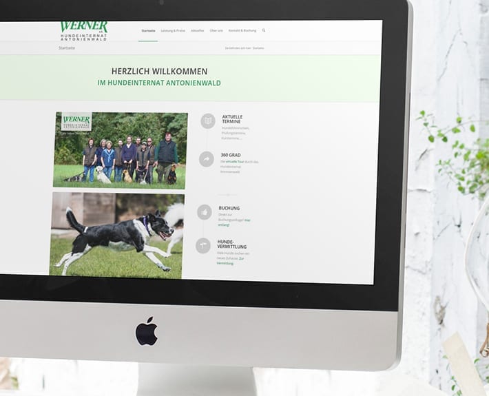 Responsive Webdesign Osnabrück Hundeinternat Antonienwald
