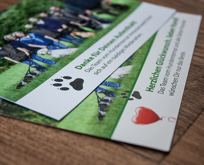 Postkarte drucken lassen Osnabrück Hundeinternat Antonienwald