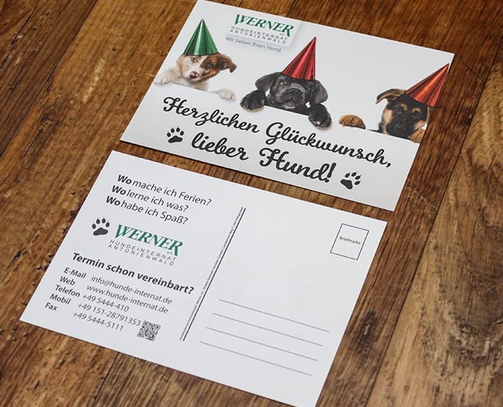 Glückwunschkarte Osnabrück Hundeinternat Antonienwald