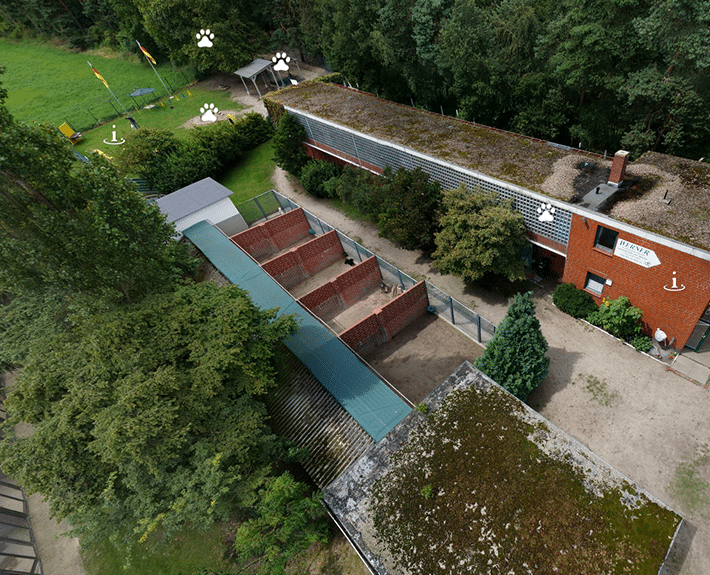 Virtuelle Tour 360 Osnabrück Hundeinternat Antonienwald