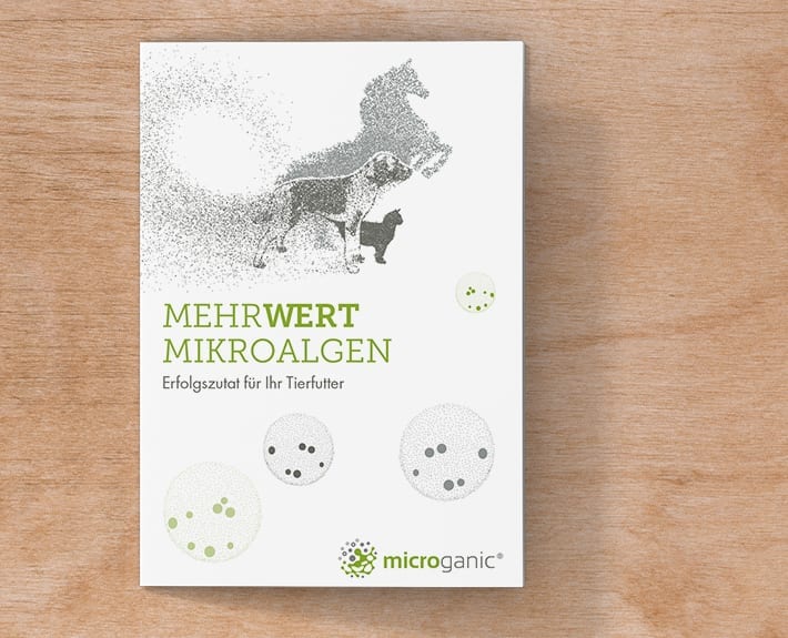 Folder Flyergestaltung Microalgen