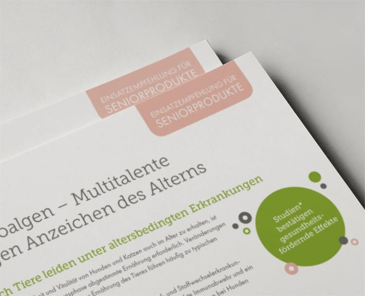 Folder Flyergestaltung Microalgen