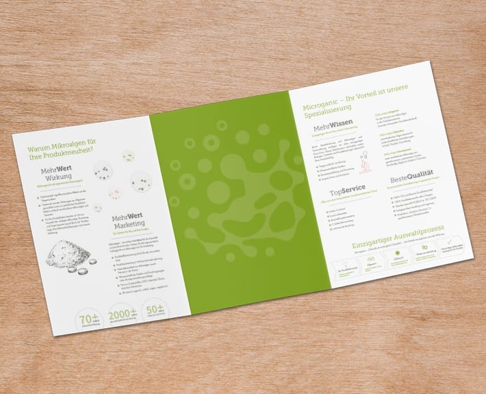 Folder Flyergestaltung Microalgen