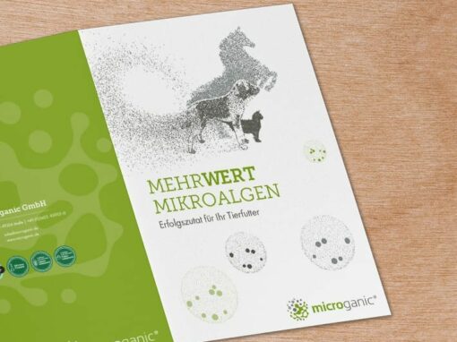Mappe + Einleger „ Microganic“