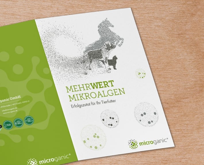Folder Flyergestaltung Microalgen