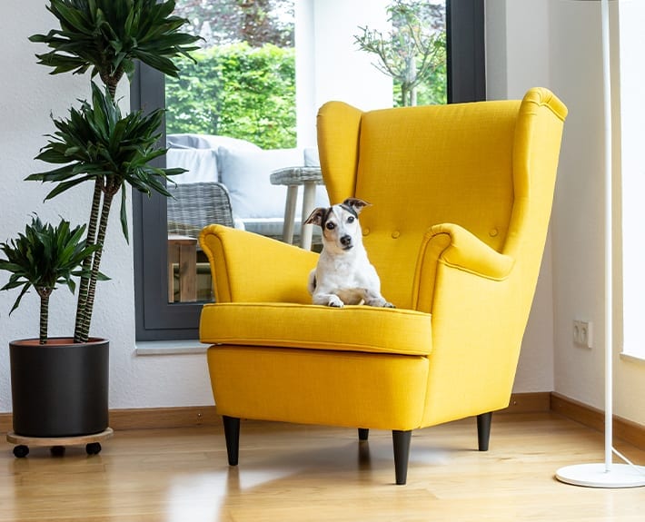 Fotoshootings Janning Immobilien Einrichtung