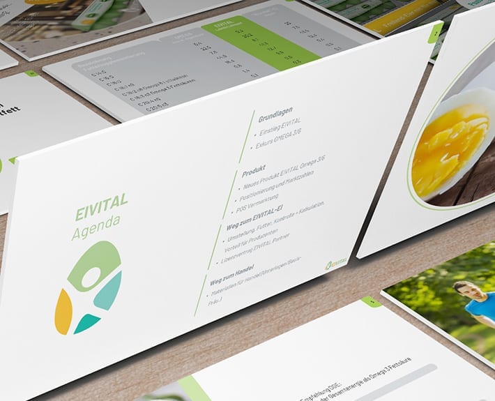Präsentation Vermarktungsstrategie EiVital