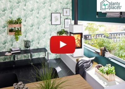 Imagevideo „Planty Places“