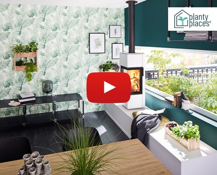 Vorstellungsvideo Planty Places GmbH Vorstellungsvideo Planty Places GmbH