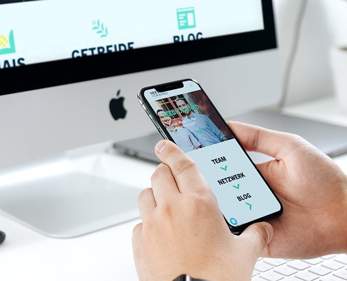 Webseite Responsive Design SeedForward