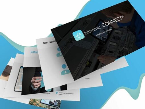 Präsentation „Bitnamic“