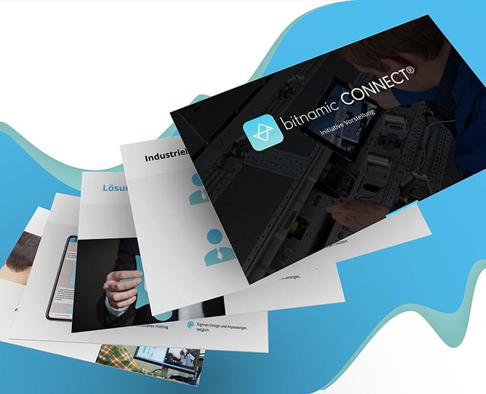 Präsentation bitnamic