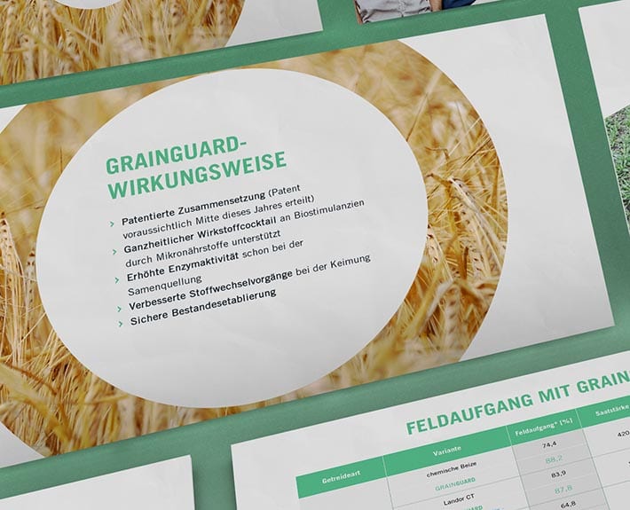 Seed Forward Präsentation