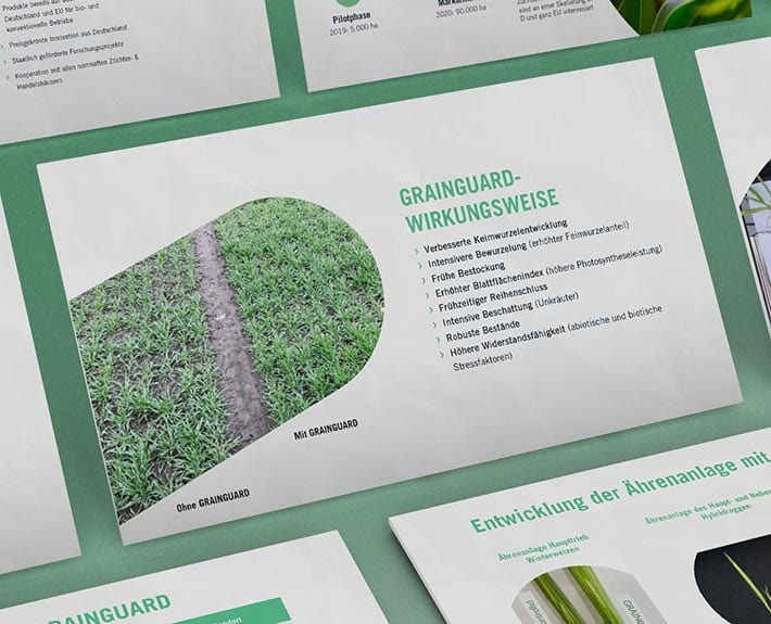 Seed Forward Präsentation