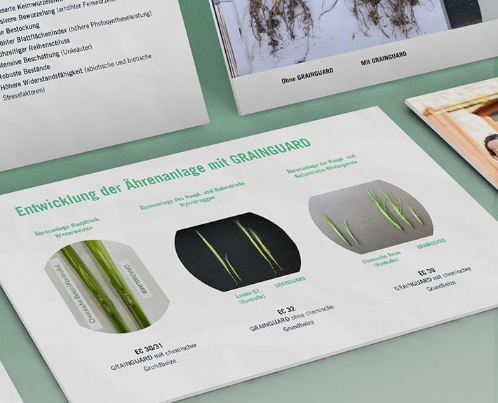 Seed Forward Präsentation