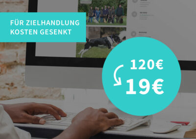 Suchmaschinenmarketing „Hundeinternat“