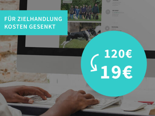 Suchmaschinenmarketing „Hundeinternat“