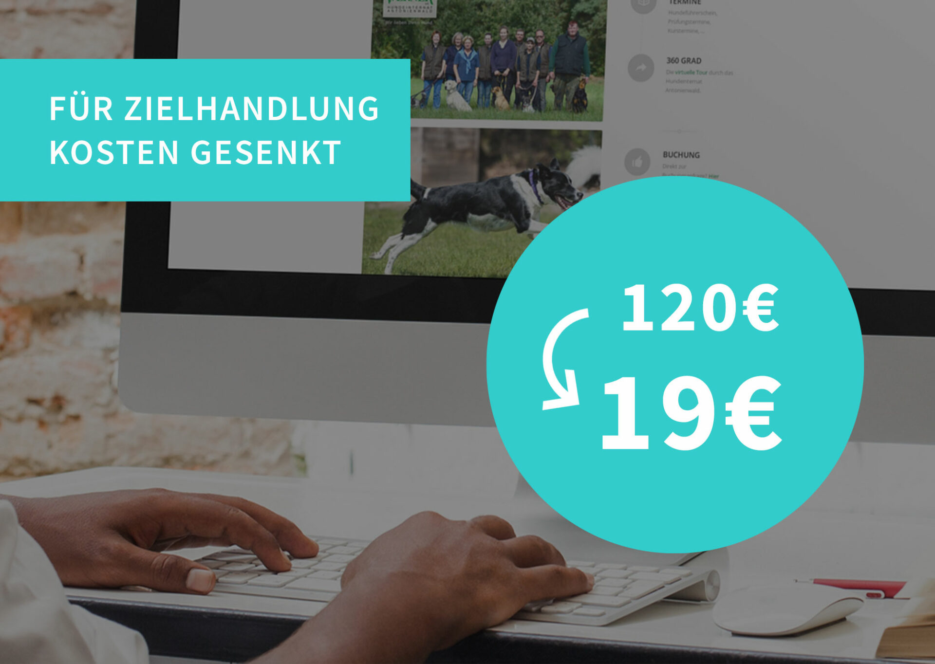 Google Optimierung Hundeinternat