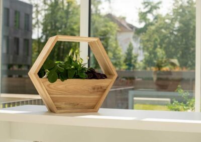 Fotografie „Planty Places“