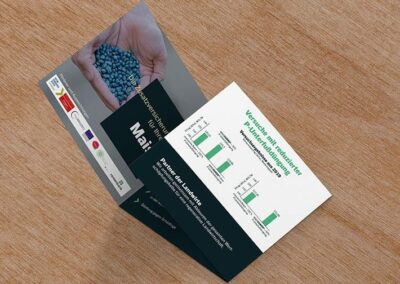 MAISGUARD Flyer „SeedForward“