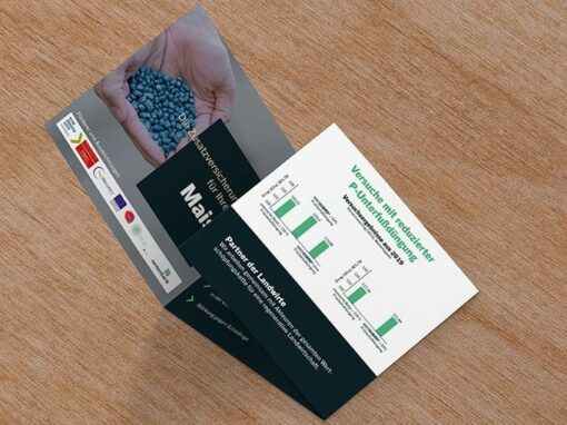 MAISGUARD Flyer „SeedForward“